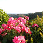 Photo n°2 de l'avis de Marco.a fait le 26/05/2018 à 22:27 sur le  Le Fonti a San Giorgio à Montespertoli
