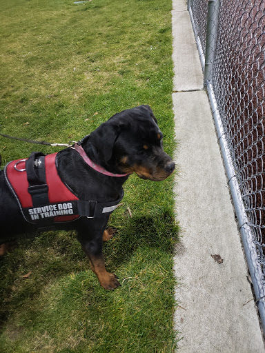 Park «Hogan Park», reviews and photos, 24400 Russell Rd, Kent, WA 98032, USA