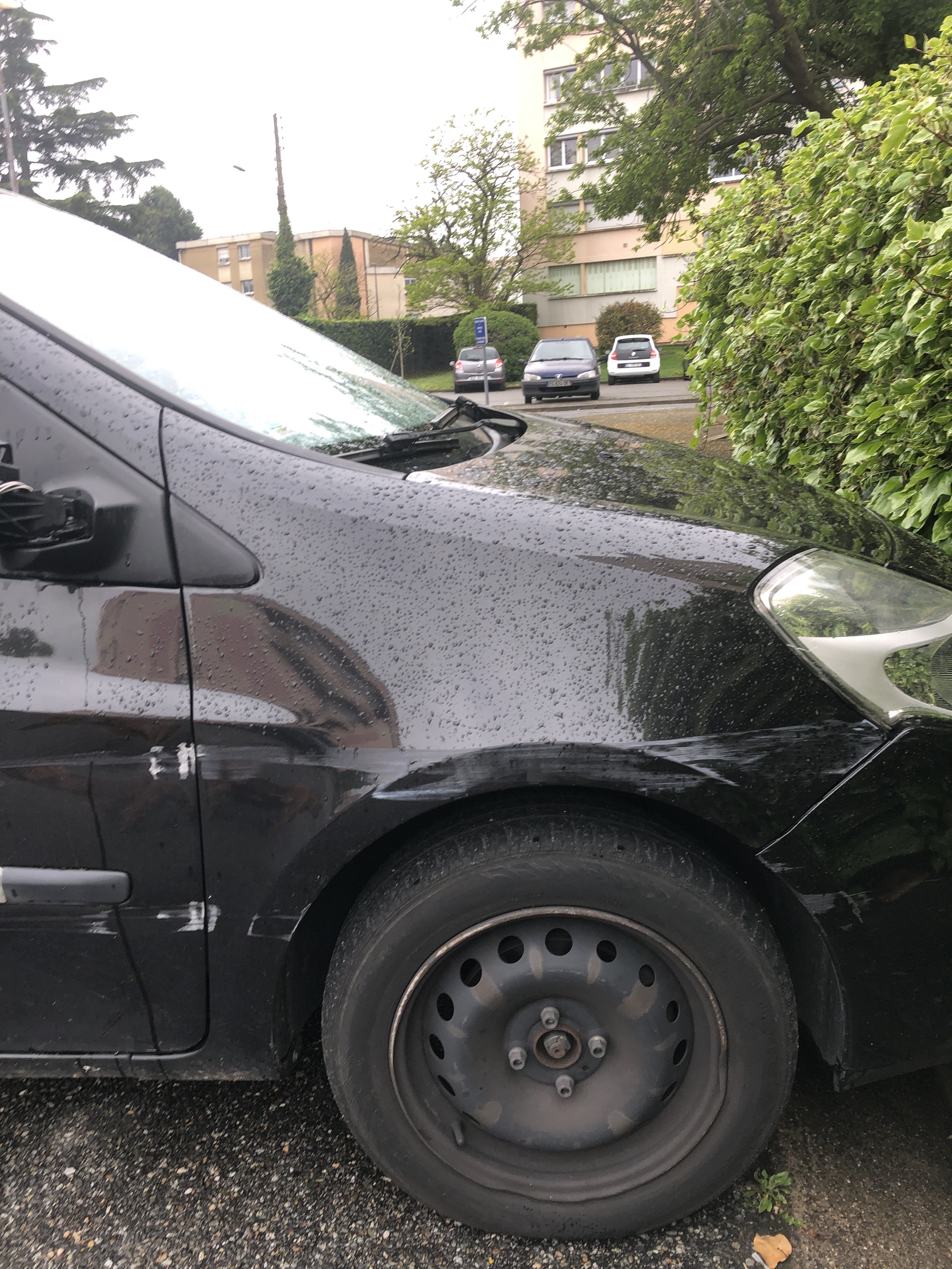 Photo n° 1 de l'avis de DNA.. fait le 31/03/2019 à 18:29
