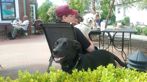 Coffee Shop «Joe Coffee & Cafe», reviews and photos, 170 Commercial St, Provincetown, MA 02657, USA