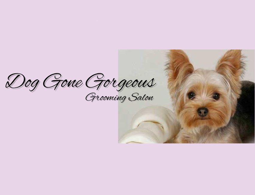 Dog Gone Gorgeous Grooming Salon