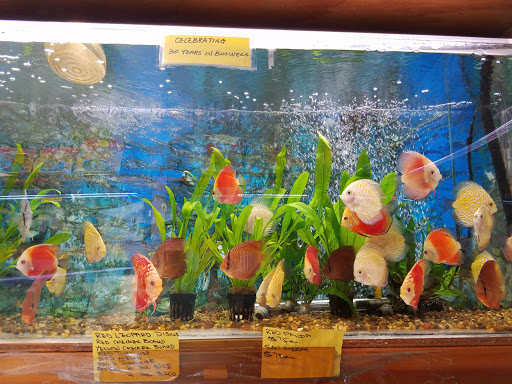 Tropical Fish Store «Rosemead Aquarium», reviews and photos, 9123 Valley Blvd, Rosemead, CA 91770, USA