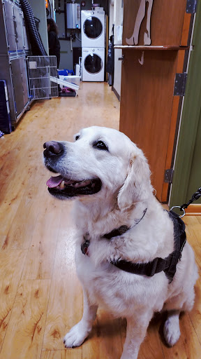 Pet Supply Store «EarthWise Pet Supply & Grooming», reviews and photos, 245 Fries Mill Rd, Blackwood, NJ 08012, USA