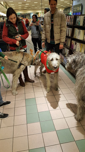 Book Store «Barnes & Noble», reviews and photos, 10500 N 90th St, Scottsdale, AZ 85258, USA