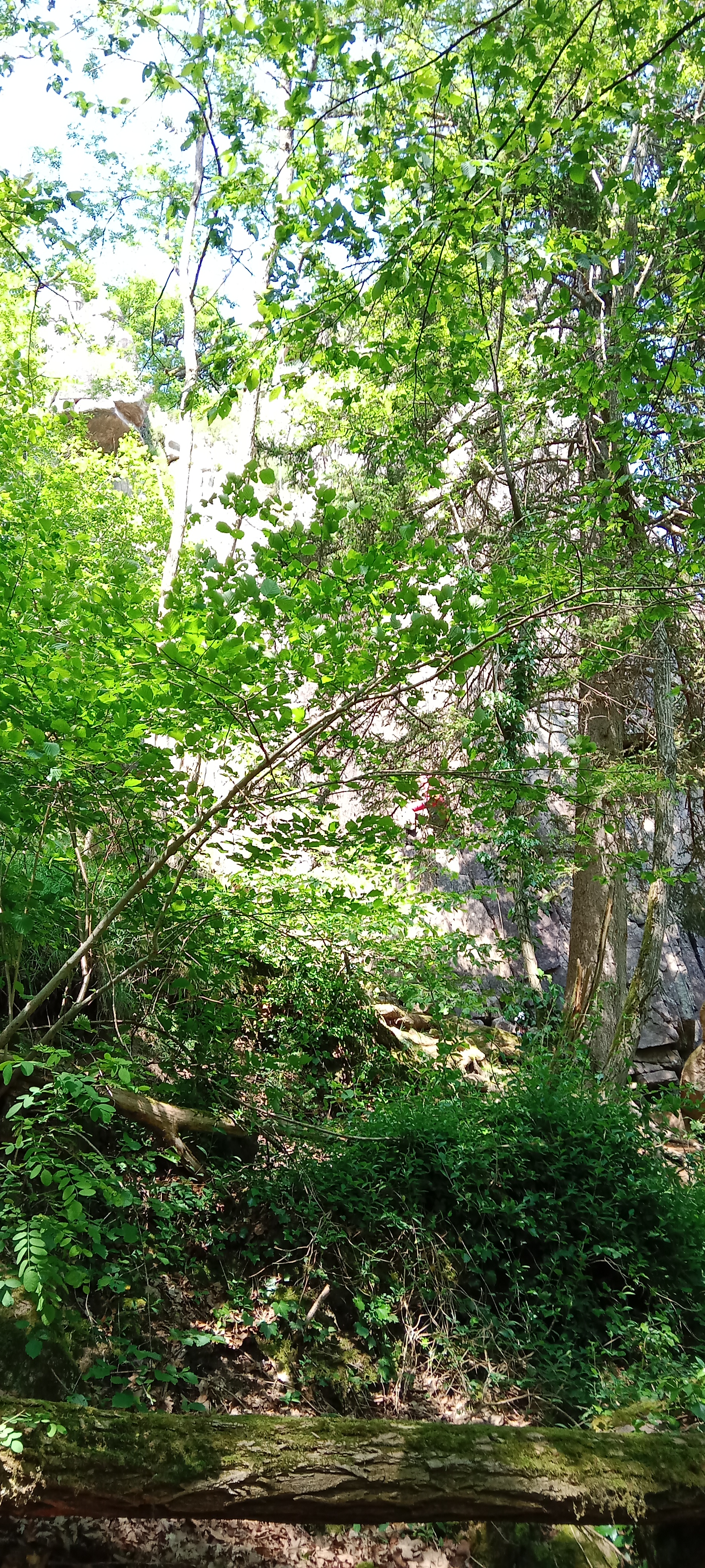 Photo n° 10 de l'avis de Sébastien.h fait le 28/05/2023 à 18:59