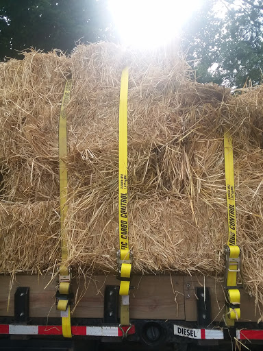 Department Store «Rural King», reviews and photos, 230 Central Pkwy, Heath, OH 43056, USA