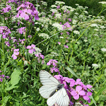Photo n°18 de l'avis de Tobias.r fait le 07/07/2022 à 20:21 sur le  ahead burghotel à Lenzen