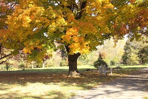 Columbus Park of Roses - photo 27