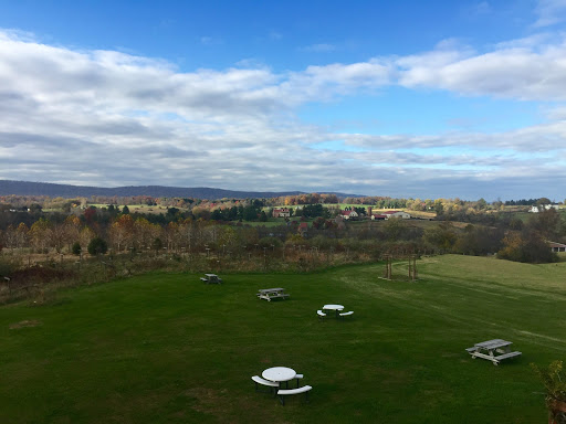 Winery «The Wine Reserve at Waterford», reviews and photos, 38516 Charles Town Pike, Waterford, VA 20197, USA