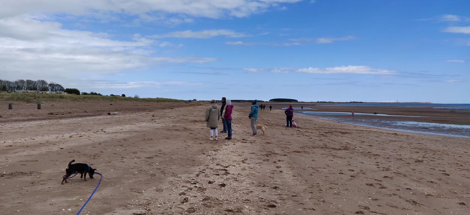 Foto av Monifieth Beach - bra husdjursvänlig plats för semester