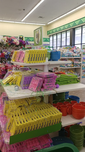 Dollar Store «Dollar Tree», reviews and photos, 174 Chase Ave, Waterbury, CT 06704, USA