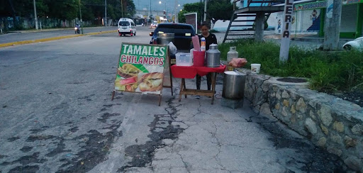 Tamales Chilangos