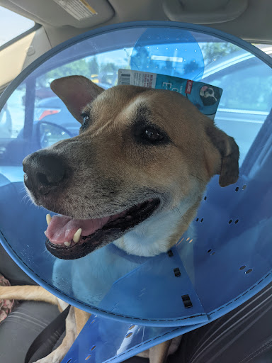 Pet Supply Store «PetSmart», reviews and photos, 482 Stillwater Ave Ste 2A, Bangor, ME 04401, USA