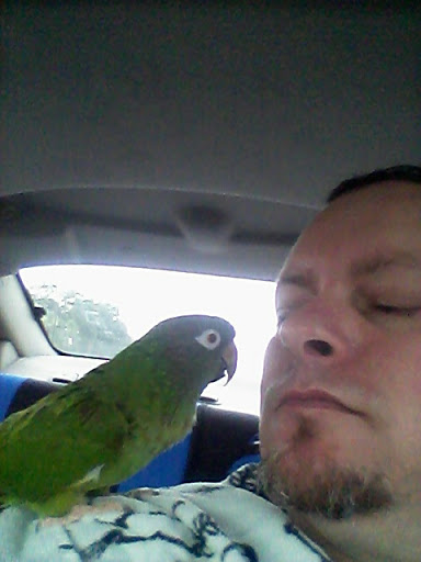 Pet Supply Store «Pet Supermarket, Inc.», reviews and photos, 380 E Michigan St, Orlando, FL 32806, USA