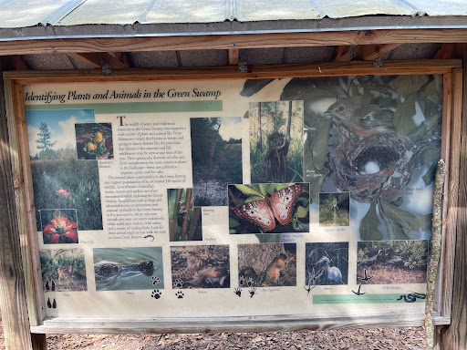 Nature Preserve «Gator Creek Reserve», reviews and photos, 9725 US Hwy 98 N, Lakeland, FL 33809, USA