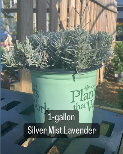 Landscaping Supply Store «Kirkwood Gardens», reviews and photos, 2701 Barrett Station Rd, Ballwin, MO 63021, USA