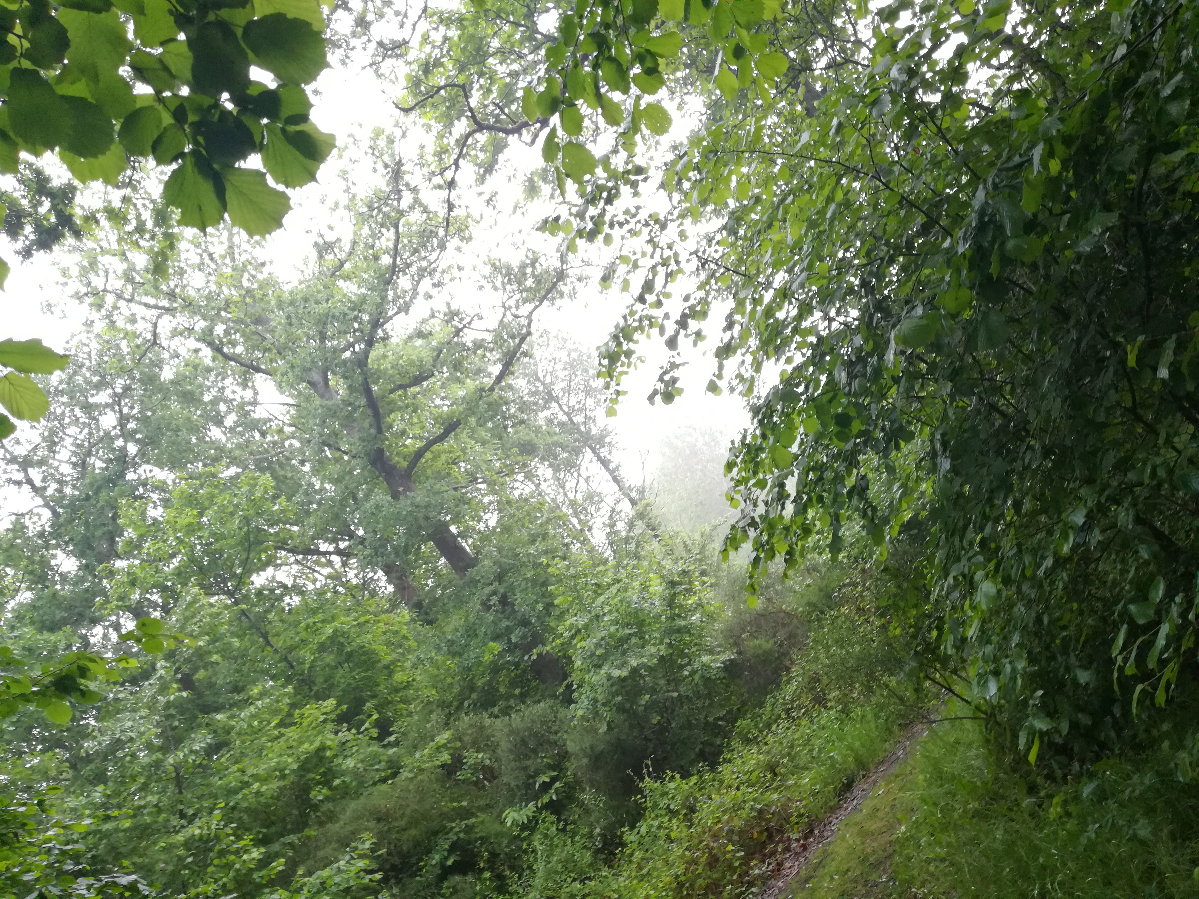 Photo n° 10 de l'avis de Nathalie.e fait le 17/06/2019 à 19:40