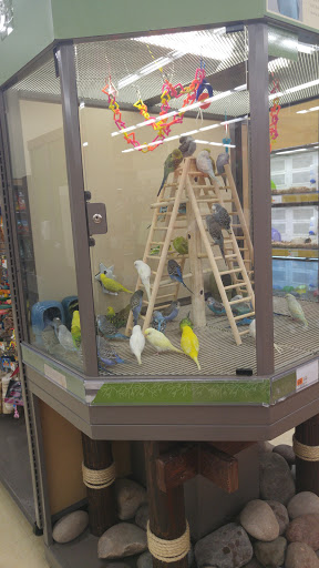 Pet Supply Store «Petco Animal Supplies», reviews and photos, 1 US-46, Totowa, NJ 07512, USA