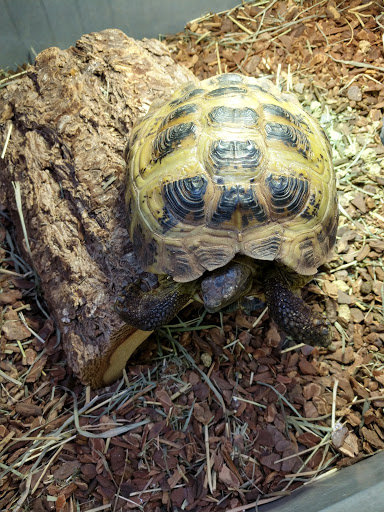 Pet Store «Critter Cabana», reviews and photos, 516 E 1st St, Newberg, OR 97132, USA