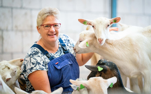 Biologische Geitenhouderij • De Molswaerd