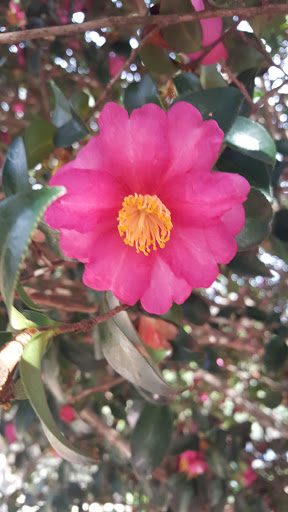 Golf Driving Range «Tanglewood Golf and Country Club», reviews and photos, 5916 Tanglewood Dr, Milton, FL 32570, USA