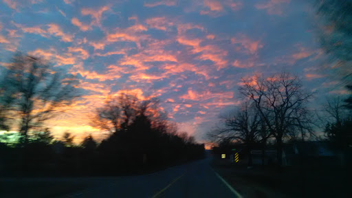 Discount Store «Dollar General», reviews and photos, 27607 US-65, Western Grove, AR 72685, USA