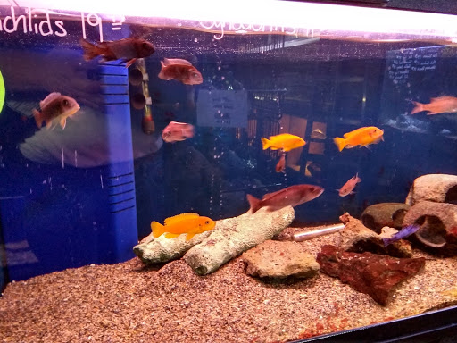 Pet Store «Sierra Fish and Pets», reviews and photos, 601 S Grady Way Suite M, Renton, WA 98057, USA