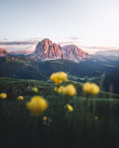 Travel Agency «Cruise & Travel Masters», reviews and photos, 4376 S 700 E #200, Murray, UT 84107, USA