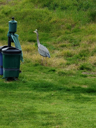 Golf Course «Pismo Beach Golf Course», reviews and photos, 25 W Grand Ave, Grover Beach, CA 93433, USA