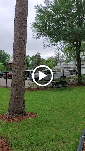 Park «Phelps Park», reviews and photos, Phelps Ave, Winter Park, FL 32789, USA