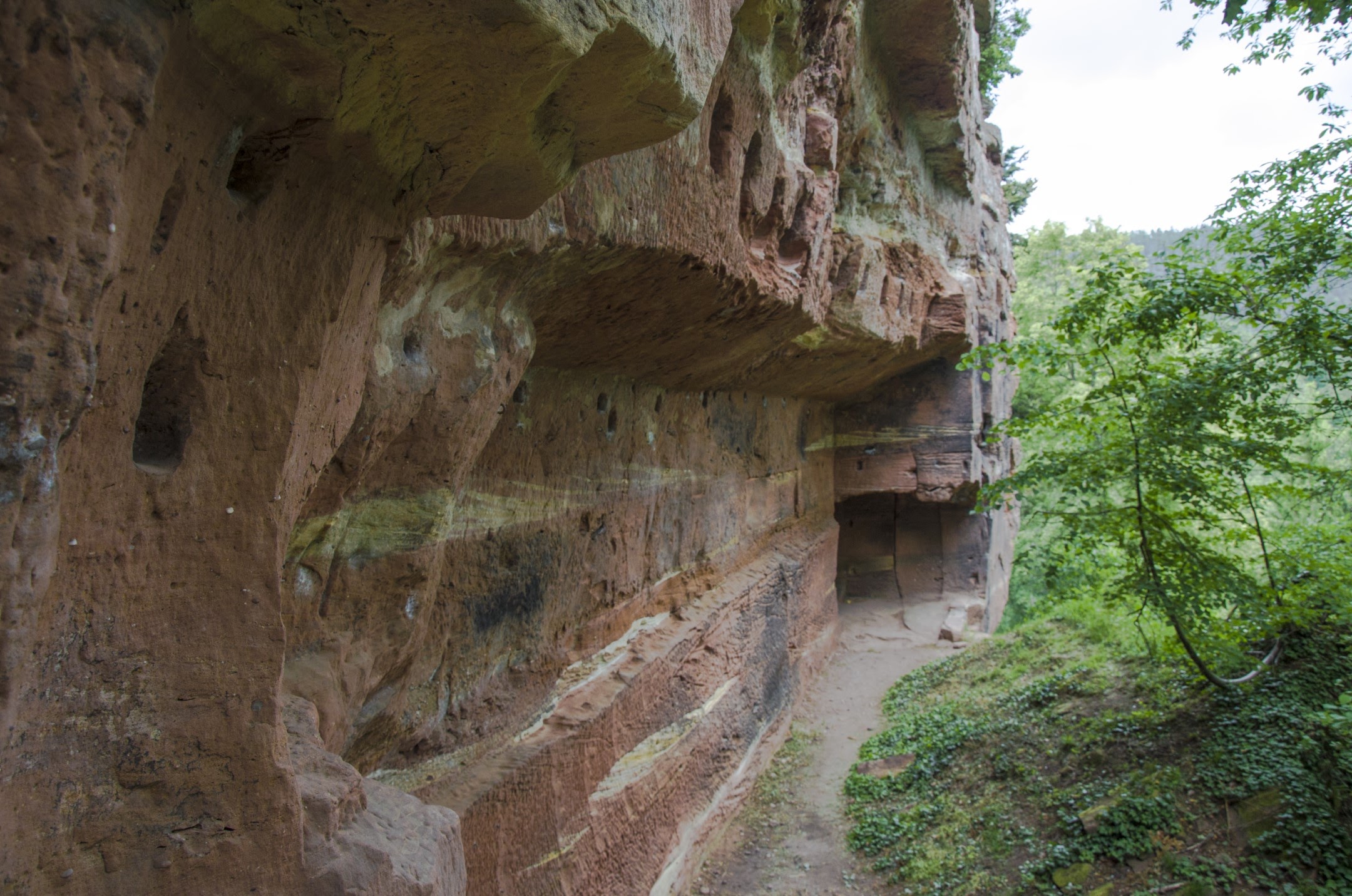 Photo n° 5 de l'avis de Nikkö. fait le 21/05/2020 à 06:32