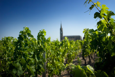Clos du Clocher - Jean Baptiste Audy à Pomerol
