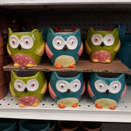 Discount Store «99 Cents Only Stores», reviews and photos, 9565 E Las Tunas Dr, Temple City, CA 91780, USA