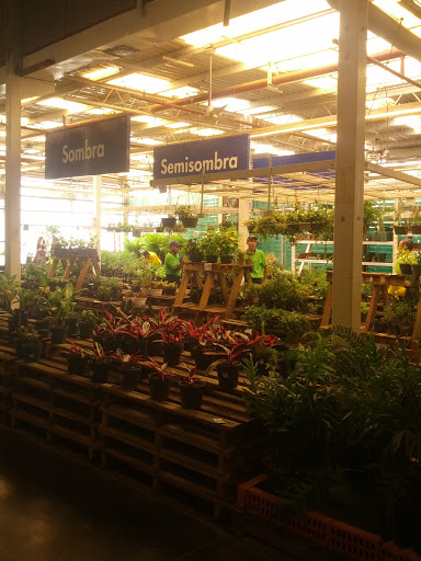 Plant stores Maracaibo
