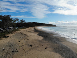 Pebbly Trail Beach'in fotoğrafı - rahatlamayı sevenler arasında popüler bir yer