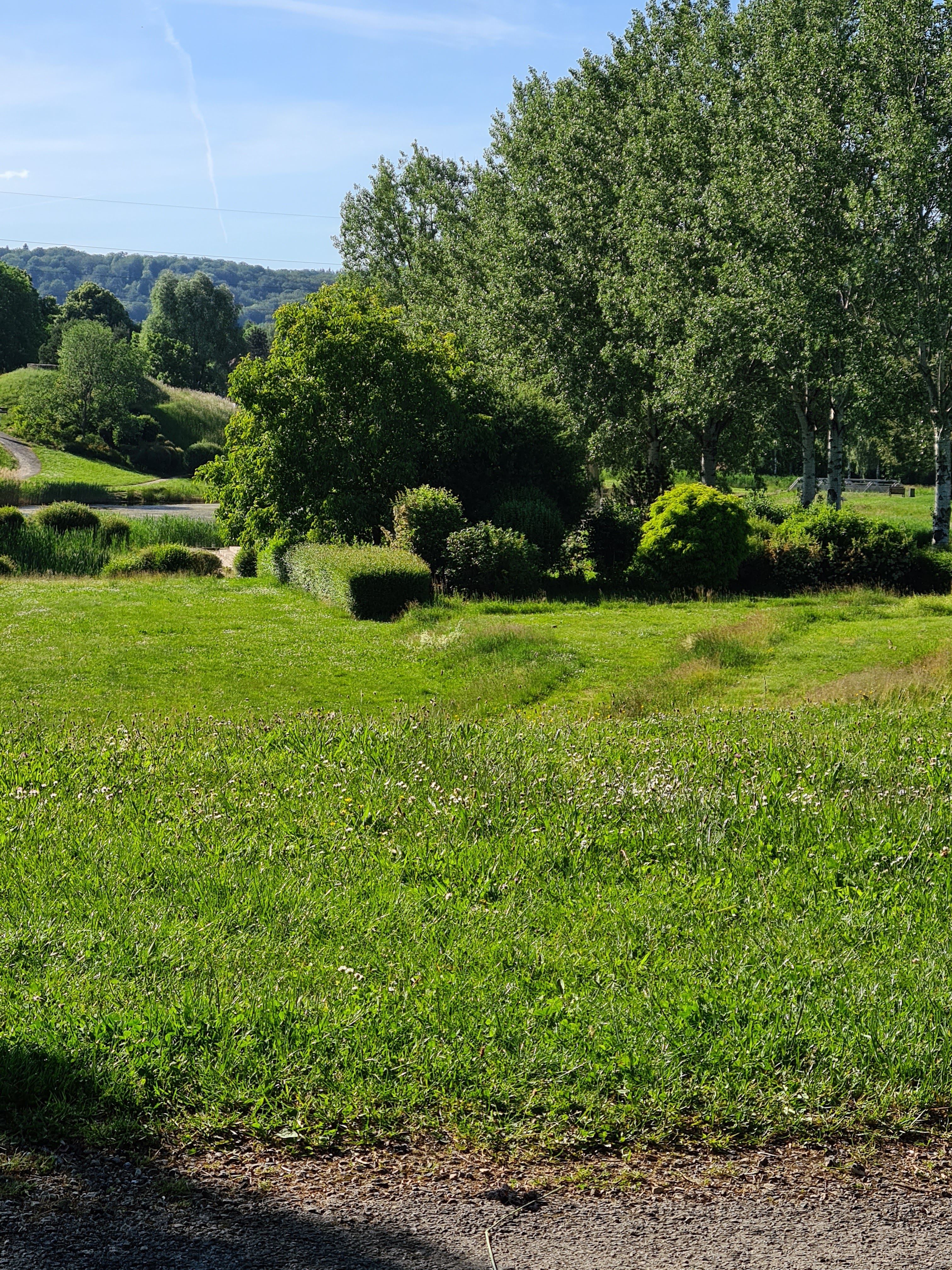 Photo n° 2 de l'avis de Simonin.s fait le 26/05/2020 à 21:21