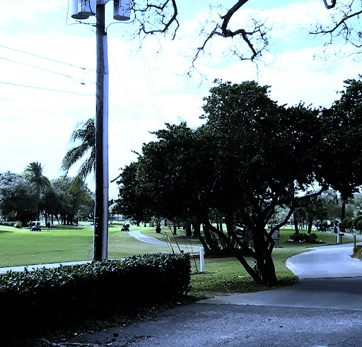 Golf Course «Largo Golf Course», reviews and photos, 12500 Vonn Rd, Largo, FL 33774, USA