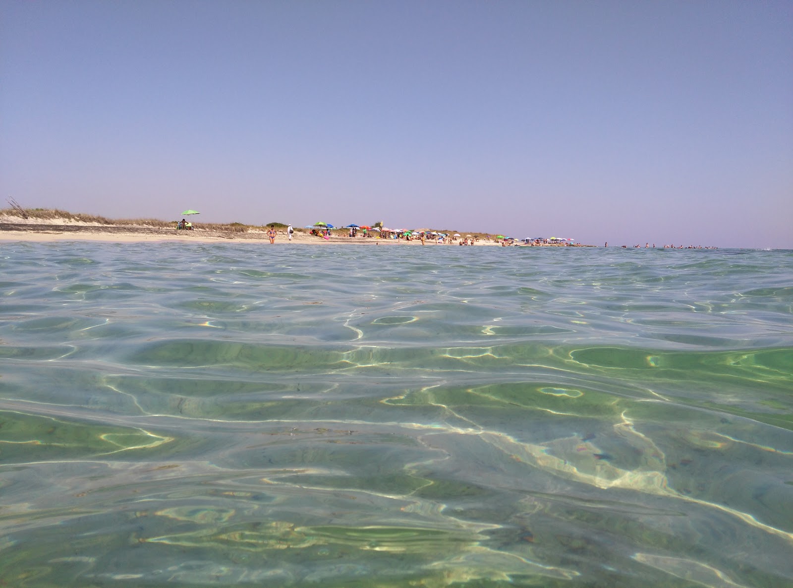 Ultima Spiaggia delle Cesine photo #8