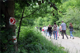 Csanyik Völgyi Ut az egészséghez Tanösvény