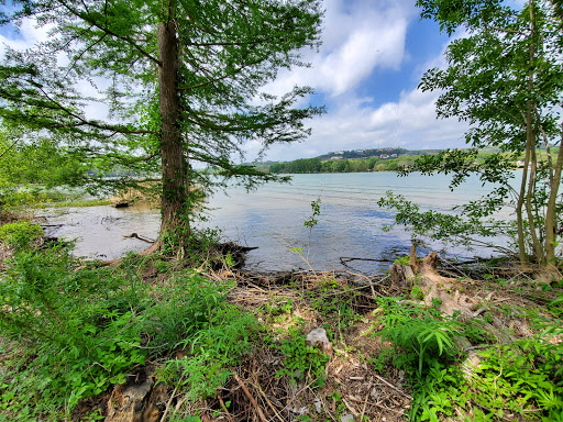 Art Museum «The Contemporary Austin», reviews and photos, 3809 W 35th St, Austin, TX 78703, USA