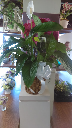 Florist «Nichols Florist», reviews and photos, 8620 Sierra Ave, Fontana, CA 92335, USA