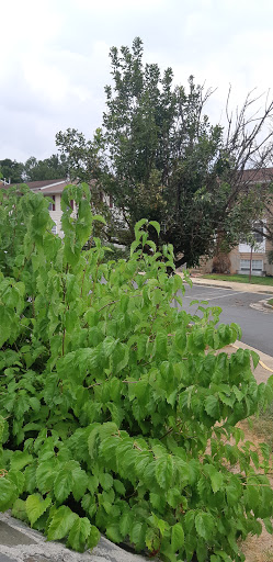 Community Center «Providence District Office and Community Center», reviews and photos, 3001 Vaden Dr, Fairfax, VA 22031, USA