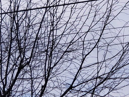 Park «Nichols Park», reviews and photos, 898 Bloomfield Ave, Nutley, NJ 07110, USA