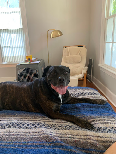 Weems Road Animal Hospital image