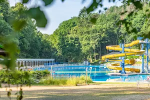 Rastenberger Waldschwimmbad e.V. image