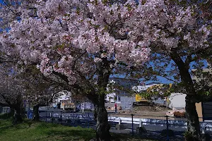 Kanakuzugawa Park image