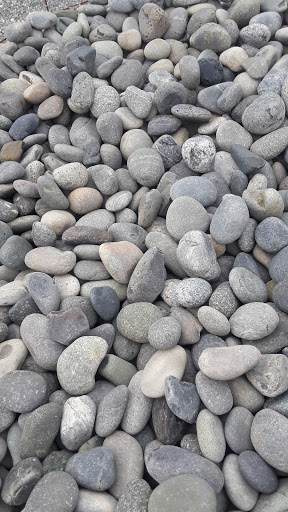 Garden Center «Pro-Lawn Garden Center», reviews and photos, 37245 FL-54, Zephyrhills, FL 33542, USA