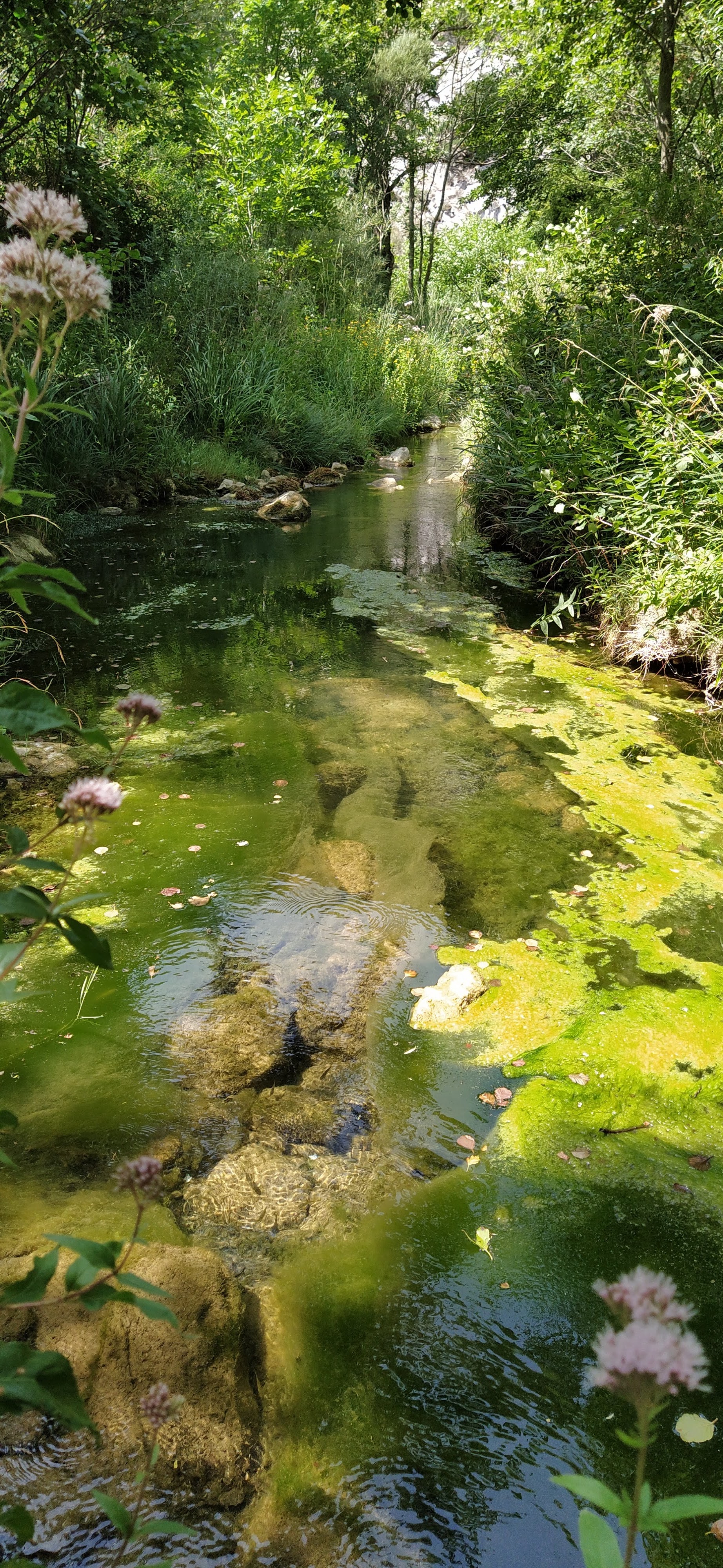 Photo n° 10 de l'avis de Cyril. fait le 25/08/2021 à 17:33