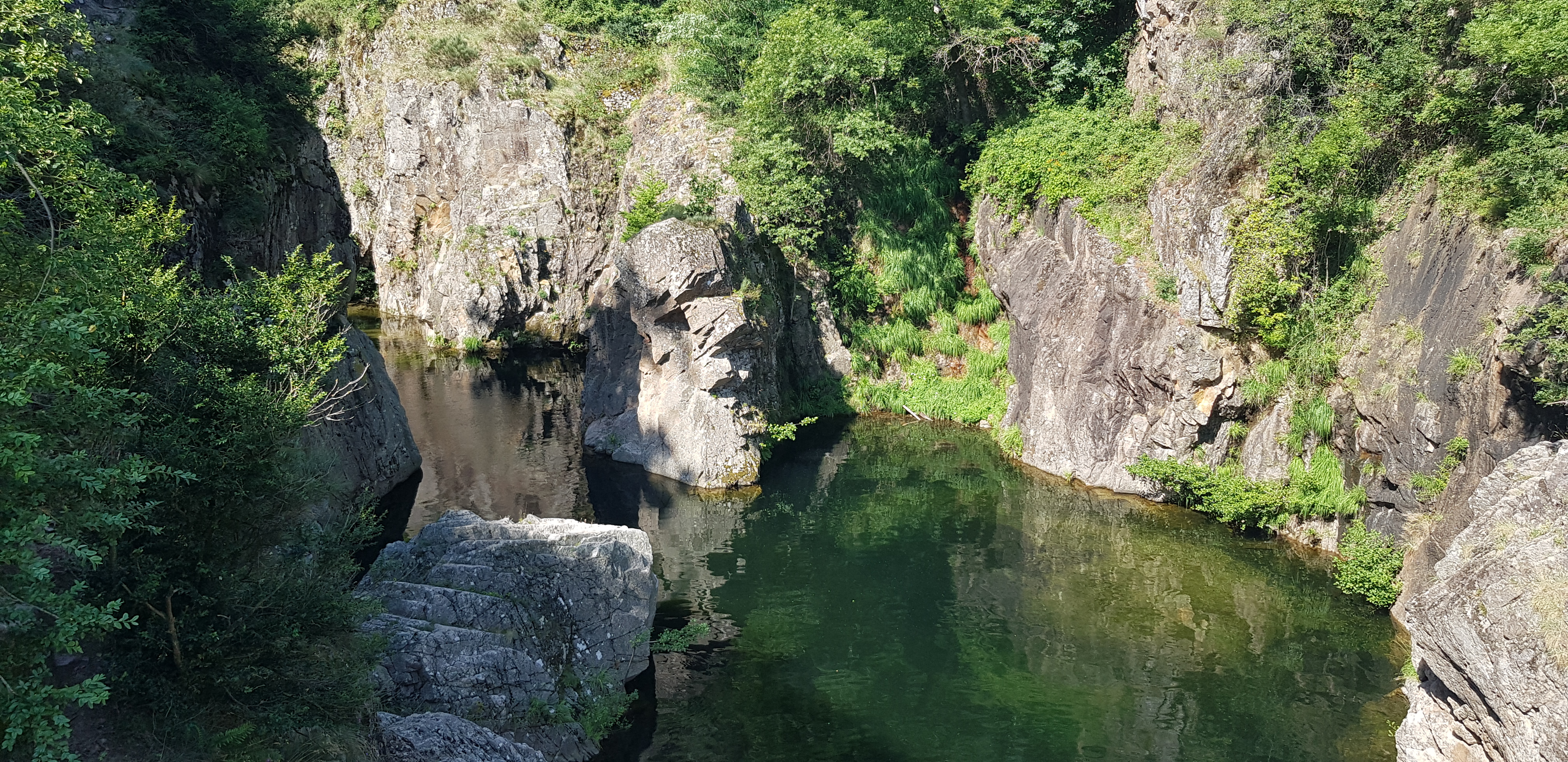 Photo n° 6 de l'avis de Decossin.o fait le 09/07/2023 à 18:28