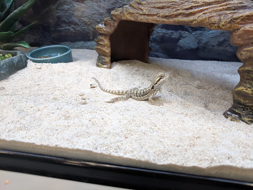 Pet Supply Store «Petco Animal Supplies», reviews and photos, 2805 E 29th Ave, Spokane, WA 99223, USA